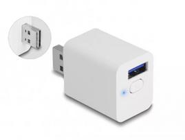 „Wi-Fi“ valdomas USB kištukas DeLOCK 11828, 2 A, baltas