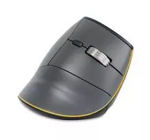 BakkerElkhuizen FastForward pelė, dešinei rankai, vertikalus dizainas, optinė, RF belaidė + Bluetooth + USB Type-C, 500 DPI, pilka