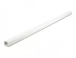 Kabelių kanalas PVC 22 mm baltas DeLOCK 20720
