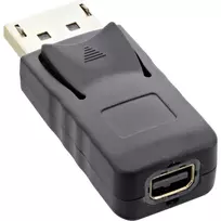 InLine DisplayPort adapteris, DisplayPort kištukas / mini DisplayPort lizdas, 4K/60Hz
