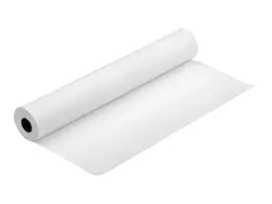 Fotopopierius blizgus Epson C13S041892 17 colių x 30,5 m 250 g/m²