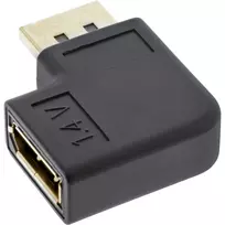 InLine DisplayPort adapteris DisplayPort kištukas lizdas kairysis kampinis 17199L