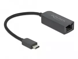 Adapteris USB Type-C (vyriškas) į 2.5 Gigabit LAN kompaktiškas DeLOCK 66645