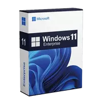 Windows 11 Enterprise (licencija)
