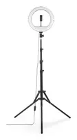 LED žiedo šviesa Hama SpotLight Steady 120 III 160 LED 1020 lm 3000 K