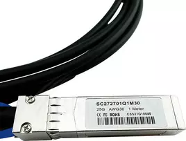 BlueOptics CAB-S-S-25G-3M InfiniBand kabelis SFP28 juodas (CAB-S-S-25G-3M-BL)
