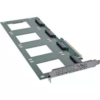 InLine 76660R vidinė U.2 sąsajos plokštė PCIe vyriška 4Gbit/s
