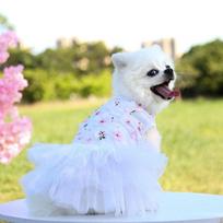 3D Floral Dog Tutu Dress, Mesh Tulle Skirt Pet Summer Clothes for Small Dogs (white,S) balta