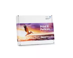 Pelikan PromoPack P48 - Kompatibel - Schwarz - Cyan - Magenta - Gelb - Brother - Multipack - 4 Stück(e) - LC3217 VAL