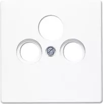 Rėmelis jungikliui JUNG LS 990 SAT WW – minimalistinis modulinių elektros jungiklių rėmelis