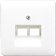 Sieninis RJ-45 lizdas JUNG CD 569-2 UA WW baltas – termoplastikas