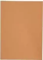 Elba 100091654 kartono segtuvas dokumentams Orange A4 (100091654)