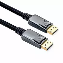 ROLINE 11.04.5866 DisplayPort kabelis 1 m juodas - sidabrinis (11.04.5866)