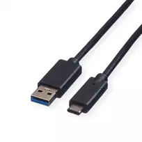 ROLINE USB laidas – USB Type C (kištukas) – 9 kontaktų USB Type A (kištukas) – 1 m (USB 3.1) – liejinis – juodas (11.02.9011)
