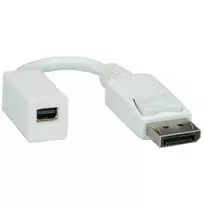 ROLINE Adapter (DisplayPort Kištukas į Mini DisplayPort Lizdą) (12033132)