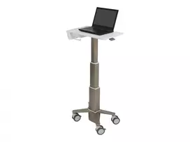 Nešiojamojo kompiuterio stovas Ergotron C50-1100-0 Pilka 39,6 cm