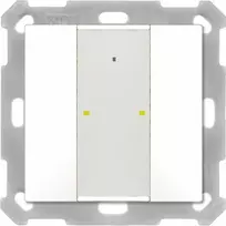 Mdt BE-TA55P2.G2 KNX ir pastatų automatizavimo įrenginys