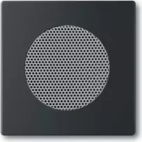 Sieninė plokštė / jungiklio gaubtas Busch-Jaeger 8200-0-0126 – juoda, klasikinio dizaino, 63×63 mm