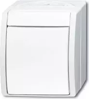BUSCH-JAEGER Tarpinis jungiklis 2601/7W-54 ocean Alpine White IP44