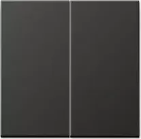 Jung AL 2995 AN Elektrinis jungiklis antracitas (AL2995AN)