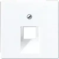 Sieninio lizdo adapteris JUNG A 569-1 BFPLUA WW — baltas termoplastikas, 1 vnt.