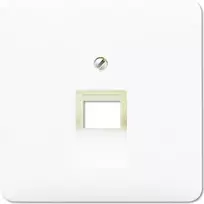 Jung CD 569-1 UA WW – sieninis RJ-45 lizdo įdėklas, baltas