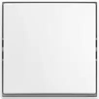 BUSCH JAEGER Jungiklis svirtinis AP 2601/6 J-524 (2TKA00005521)