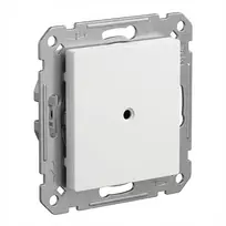 BUSCH JAEGER BJ 2538-915 Blindzentralscheibe mit Tragring Busch-balance SI (2CKA001715A0321)
