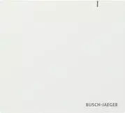 BUSCH JAEGER BJ SAP.13 System Access Point 3.0 (2CKA006200A0868)