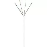 Wentronic CAT 6 U/UTP 100m baltas tinklo kabelis (PVC)