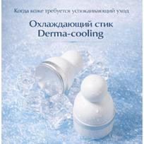 DERMA KARALIENĖ: Profesionalus ledo aušinimo strypas