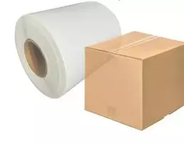 BestPak terminė etiketė su perforacija 100x150/500 24 vnt.
