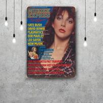 kate bush Metalinės lentelės sienų dekoras Vintažinės skardinės lentelės Kapitono metalinis plakatas Dekoras barui, pubui, klubui Sienų dekoracija 20x30cm（7.8x11.8inch）