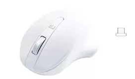 Belaidė pelė Matias Wireless USB-C Pro Mouse White