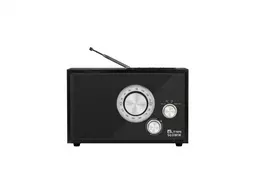 Radijo imtuvas ELTRA Nightingale USB/BT juodas