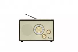 Radijo imtuvas ELTRA Nightingale USB/BT tamsiai ruda