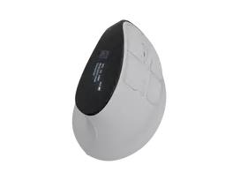 Belaidė vertikali pelė NATEC Euphonie Pro Bluetooth 5.0, 4000 DPI, programuojama, tyli, balta