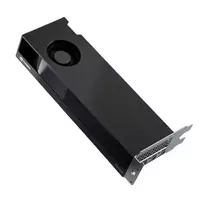 DELL NVIDIA RTX 2000 Ada 16GB GDDR6 vaizdo plokštė