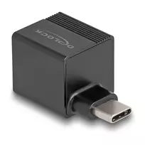 DeLOCK USB Type-C adapteris į Gigabit LAN mini juodas