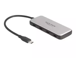 DeLOCK 64261 USB 3.2 Gen 1 Type-C šakotuvas 10000Mbit/s juoda pilka