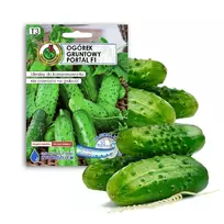 Agurkų sėklos Apte Cucumber Portal F1 — juosta 6 m, vidutinio ankstyvumo rauginimui skirtas hibridas