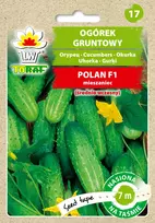 Agurkų Polan F1 sėklos ant juostos PNOS, 6 m juosta