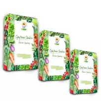 Toraf sėklų rinkinys - Set 1X3 2024 Toraf 36X1PCS