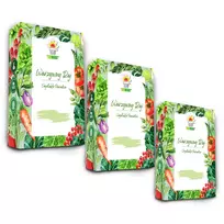 Toraf sėklų rinkinys – Set 2X3 2024 Toraf 36X1PCS