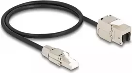 DeLOCK Laidas RJ45 kištukas lauko montavimui į Keystone Modulį RJ45 lizdas Cat.6A 50 cm