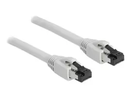 DeLOCK 80561 tinklo kabelis RJ-45 Cat8.1 3 m pilkas