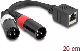 DeLOCK garso kabelis 0,2 m RJ-45 2 x XLR (3 kontaktų) juodas 88179