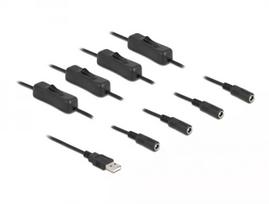 USB laidas – USB Type-A (vyriška) į 4 x DC 5,5 x 2,1 mm (moteriška) su jungikliu DeLOCK 86799