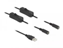 USB A (vyriškas) į 2 x DC 5.5 x 2.1 mm (moteriškas) su jungikliu 1 m DeLOCK 86797