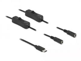 Laidas USB Type-C (vyriškas) į 2 x DC 5,5 x 2,1 mm (moteriškas) su jungikliu DeLOCK 86800